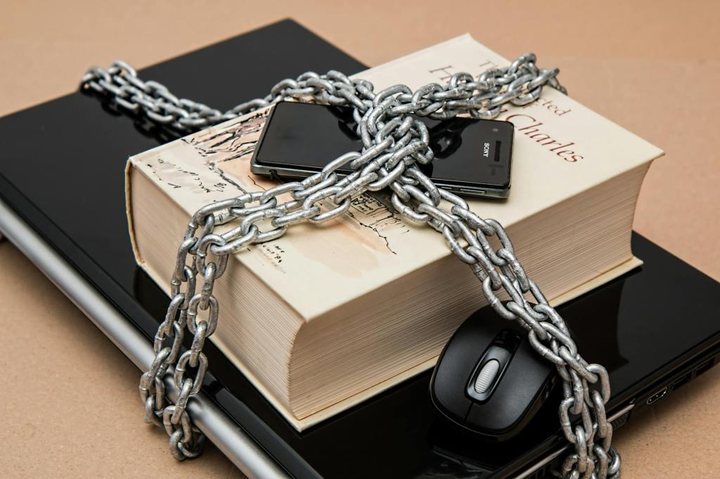 Digital Privacy Isn’t About Having Something to Hide—It’s About Having Something to&nbsp;Protect